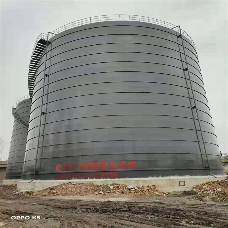 临桂3万吨大型钢板库