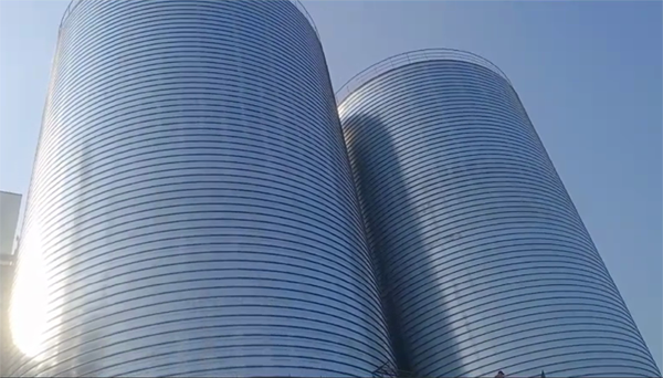 临桂2座混凝土高架卷板仓